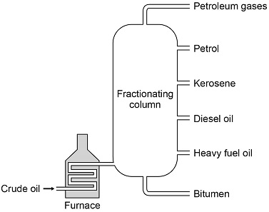 Quiz Shell